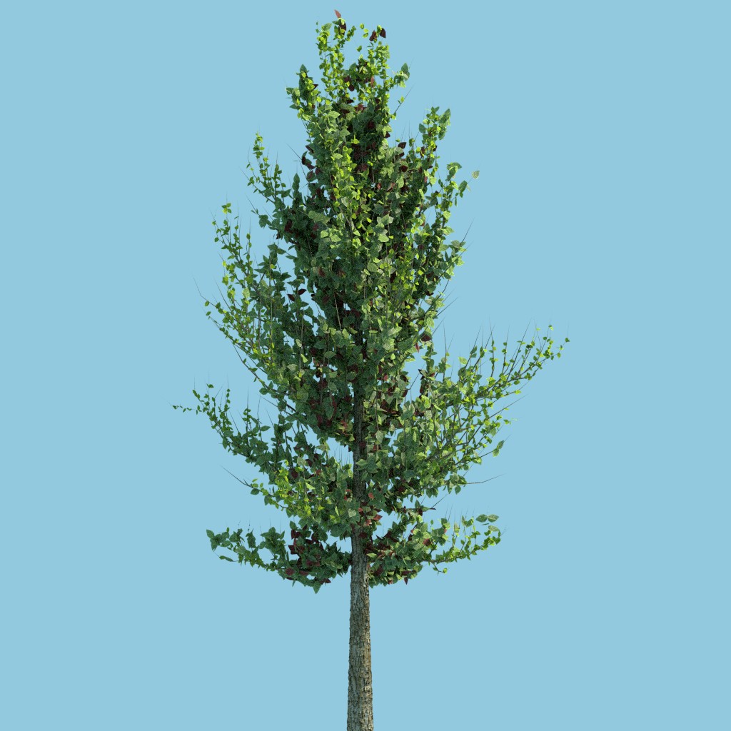 Realistic Tree in Cycles preview image 3
